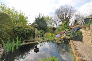 Pond Area- click for photo gallery
